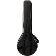 Epiphone Mastertone Bowtie Open Back Banjo - Natural