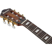 Ibanez FRH20SMN FRH Acoustic Electric Guitar - Tobacco Burst