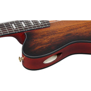 Ibanez FRH20SMN FRH Acoustic Electric Guitar - Tobacco Burst