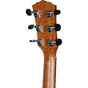 Taylor Gold Label 817e Grand Pacific Acoustic Electric Guitar - Sunburst