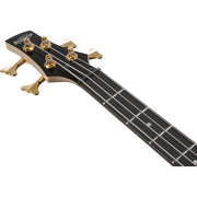 Ibanez GSR200PC Gio SR 4-String Electric Bass - Transparent Marine Burst