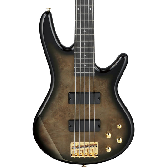 Ibanez GSR205PC Gio SR 5-String Electric Bass - Transparent Pale Black Burst