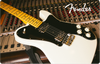 Fender Digital Gift Card