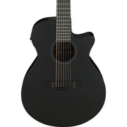 Ibanez AEG Series 7-String Acoustic Electric Guitar, Black Out