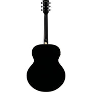 Ibanez Artwood Series Acoustic Electric Guitar, Black High Gloss