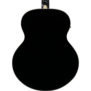 Ibanez Artwood Series Acoustic Electric Guitar, Black High Gloss