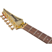 Ibanez JS1GD Joe Satriani Signature 6-String Electric Guitar - Gold