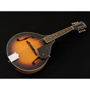 Washburn Americana M1-Pack A Style Mandolin - Tobacco Sunburst