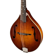 Eastman MD305 Adirondack Wide Neck A Style Mandolin - Amberburst