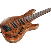 Ibanez MDM1605 MDM 5-String Electric Bass - Natural Mocha Low Gloss