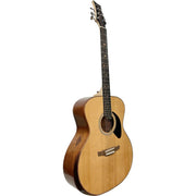 Riversong P555-A Folker Acoustic Guitar
