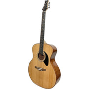 Riversong P555-A Folker Acoustic Guitar