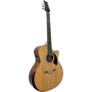 Riversong P555CEA Dragon Slayer Grand Auditorium Acoustic Electric Guitar