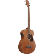 Ibanez PCB54E PCB Acoustic Electric Bass - Open Pore Natural