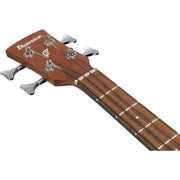 Ibanez PCB54E PCB Acoustic Electric Bass - Open Pore Natural