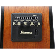 Ibanez PCB54E PCB Acoustic Electric Bass - Open Pore Natural