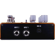 Source Audio Pathways Reverb & Tremolo Pedal