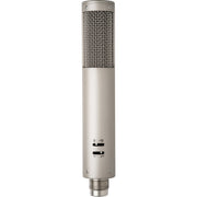 Royer Labs R-12 Active Ribbon Microphone - Matched Pair