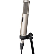 Royer Labs R-12 Active Ribbon Microphone - Matched Pair
