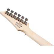 Ibanez RG421AHM RG Standard Electric Guitar - Blue Moon Burst