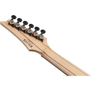 Ibanez RGA21P1PB RGA Premium 6-String Electric Guitar - Deep Twilight Burst