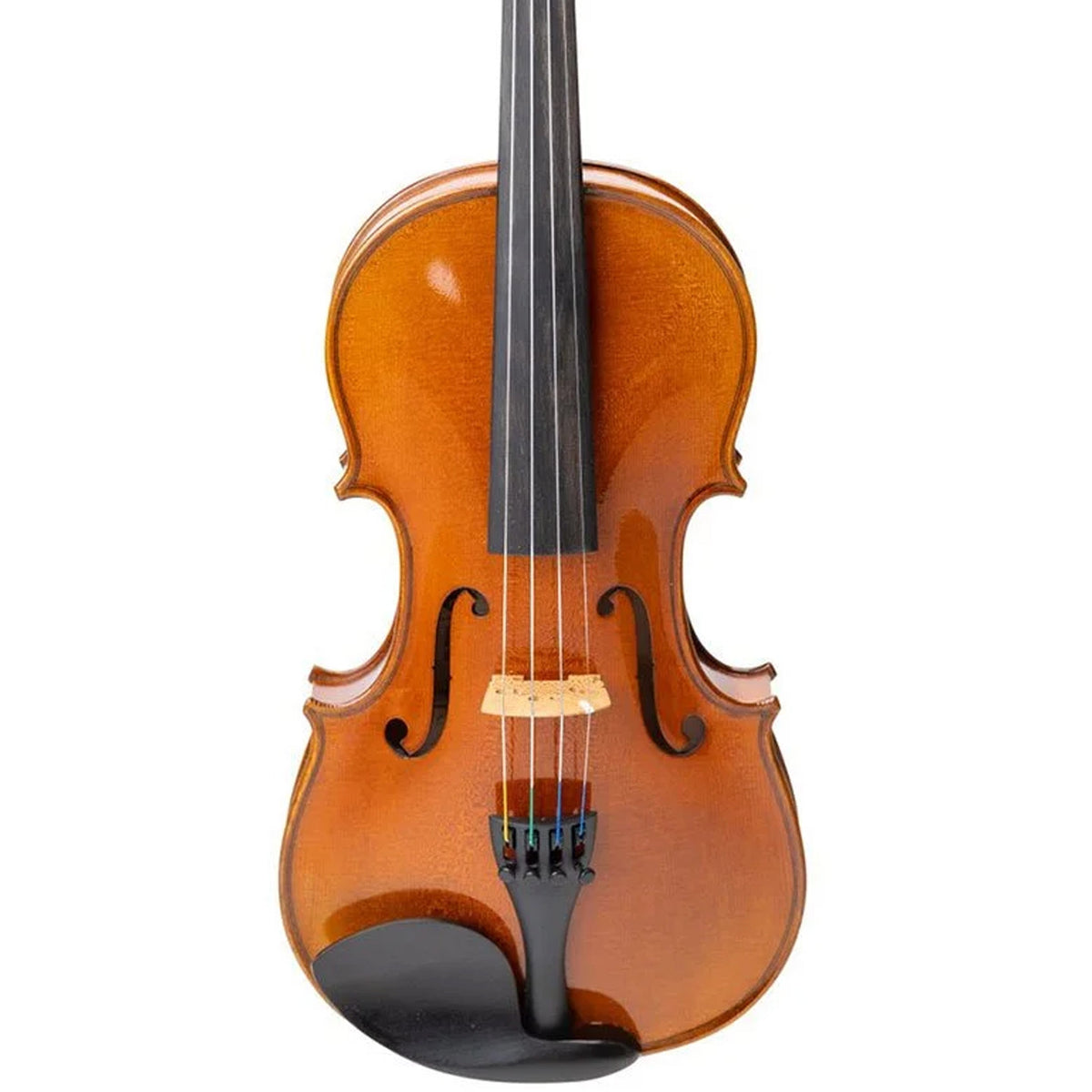 Revelle Model 305 3/4 Violin Outfit