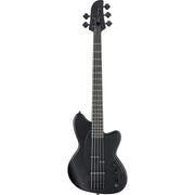 Ibanez TMB425B Talman Bass Standard 5-String Electric Bass - Black Flat