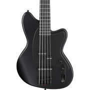 Ibanez TMB425B Talman Bass Standard 5-String Electric Bass - Black Flat