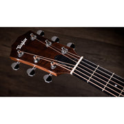 Taylor 24ce Acoustic Electric Guitar - Natural w/ Neo-Tropical Mahogany Top