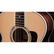 Taylor Legacy 855e Jumbo 12 String Acoustic Electric Guitar