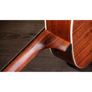 Taylor Gold Label 514e Grand Auditorium Acoustic Electric Guitar - Natural