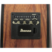 Ibanez V40WSCE V Series Acoustic Electric Guitar - Open Pore Brown