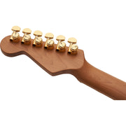 Charvel Ltd. Ed. MJ DK24 HSH 2PT E Mahogany With Figured Walnut Electric Guitar - Natural