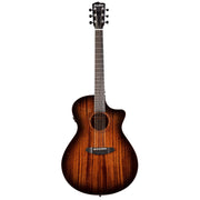 Breedlove Wildwood Pro Series Dreadnought Concerto Acoustic Electric Guitar - Suede Burst