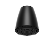 Bose DesignMax DM6PE Loudspeaker Pair - Black