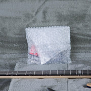 ESP E-II SN-II Electric Guitar - Blue Natural Fade - #ES5490243
