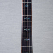 Taylor Builders Edition 914ce Indian Rosewood/Lutz Spruce Acousitc Electric Guitar - #1205314113