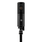 Shure KSM40C Large Diaphragm Cardioid Condenser Microphone