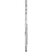 Roland Aerophone Brisa Digital Wind Instrument