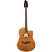LR Baggs AEG-1 Acoustic Electric 6 String Guitar - Torrefied Sitka Spruce