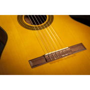 Takamine GC1CE Nylon String Acoustic Electric Guitar - Natural