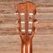 Breedlove Discovery S Concert Nylon CE Natural 2024 - MUSICTONER