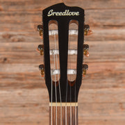 Breedlove Discovery S Concert Nylon CE Natural 2024 - MUSICTONER