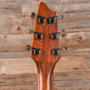 Breedlove Passport D20 FS Natural - MUSICTONER
