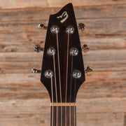 Breedlove Passport D20 FS Natural - MUSICTONER