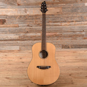 Breedlove Passport D20 FS Natural - MUSICTONER