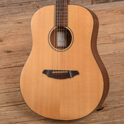 Breedlove Passport D20 FS Natural - MUSICTONER