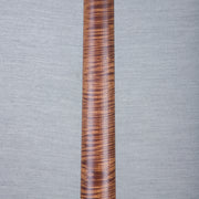 PRS Wood Library DGT Electric Guitar - Private Stock Frostbite Finish - CHUCKSCLUSIVE - #240388862