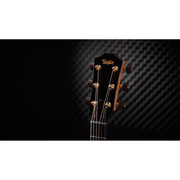 Taylor Custom #30 C16CE Grand Symphony Acoustic Electric Guitar