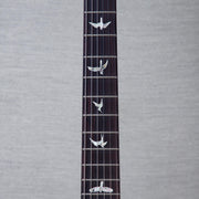 PRS Custom 24-08 10-Top Solid Body Guitar - Aurora Borealis - #250410253